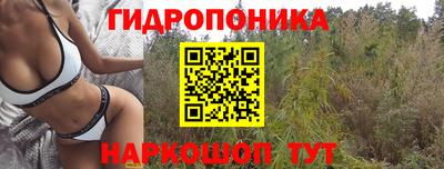 спиды Ставрополь