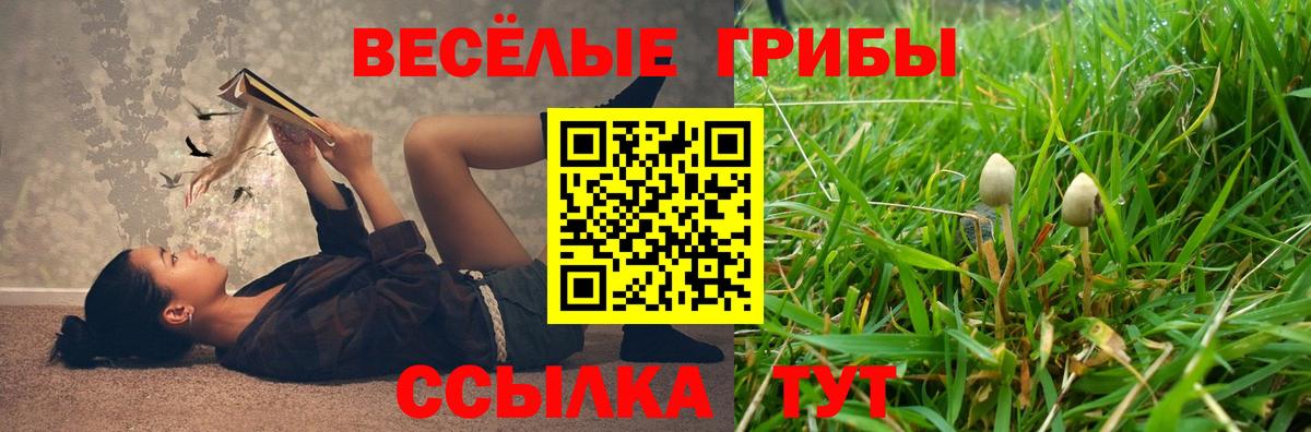 Псилоцибиновые грибы MAGIC MUSHROOMS  Вход с VPN  Нарьян-Мар 